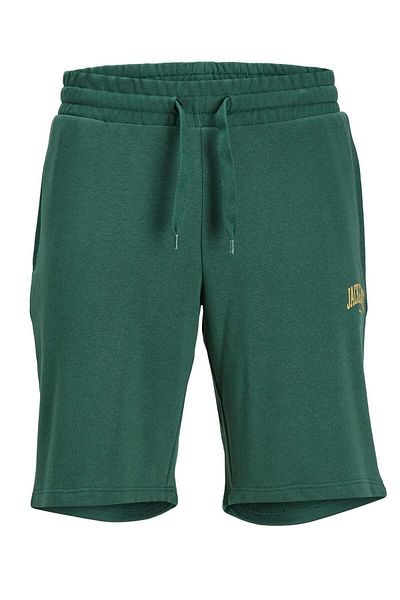 Jack & Jones Τζακ Τζόουνς 12248833