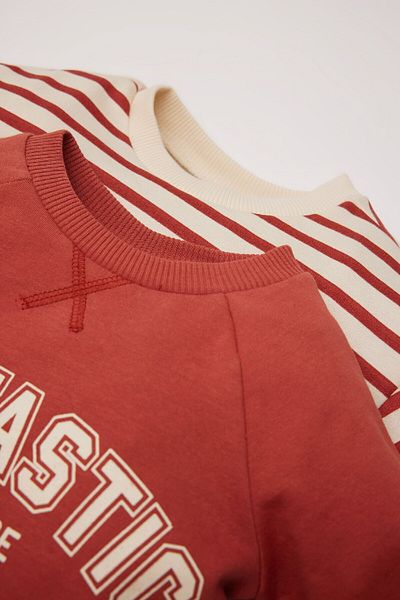 DeFacto Baby Boy Crew Neck Printed 2-Piece Sweatshirt with Soft Feather Inside D5782A524Wn