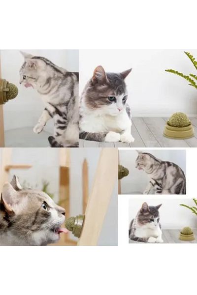 TTT Catnip Play Ball