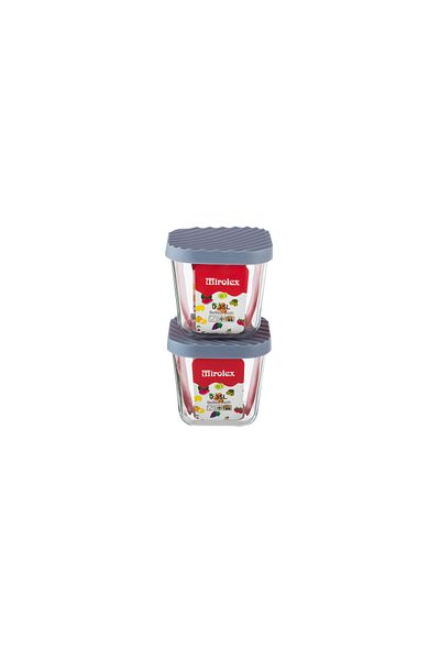 Dania 2-Piece Glass Food Storage Container Set with Microwaveable Plastic Lid