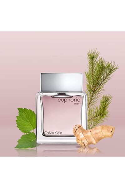 Calvin Klein Euphoria Eau de Toilette by Calvin Klein for Men, 100 ml