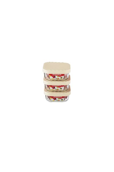 Dania 3-Piece Glass Food Storage Container Set with Microwaveable Plastic Lid