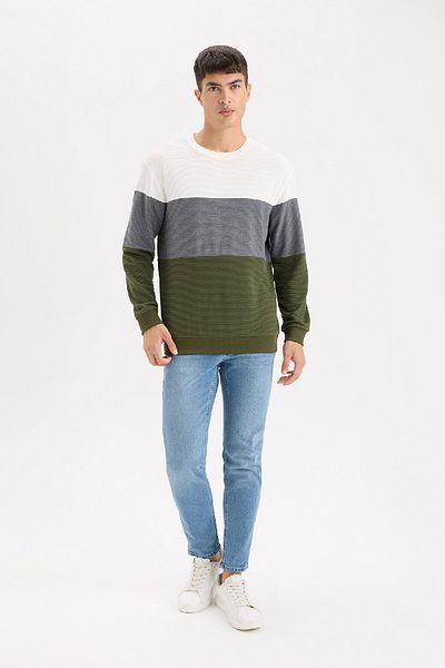 DeFacto Φούτερ με κανονική εφαρμογή Crew Neck Color Block Jacquard φούτερ D5393ax24au