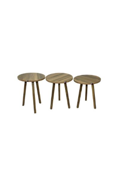 ROYAL ROSE Set of 3 round coffee tables, multi-colored, 50x38 cm