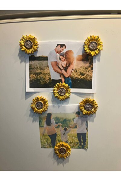 Love Candle Dekor Ayçiçek Magnet, 6lı Magnet Seti, Çiçek Magnet, El Yapımı De...