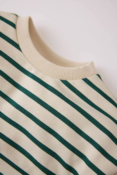 DeFacto Φούτερ Baby Boy Crew με ριγέ λαιμόκοψη E0280A525SP