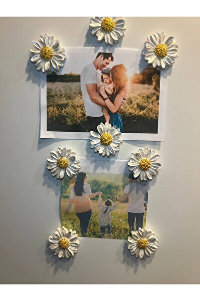 Love Candle Dekor Papatya Magnet, 8li Magnet Seti, Çiçek Magnet, El Yapımı De...