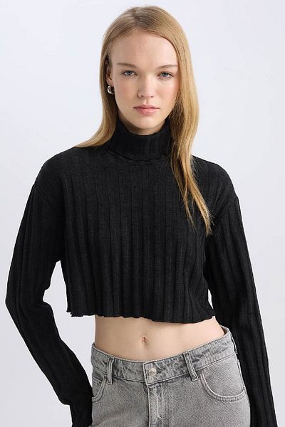 DeFacto Cool Turtleneck Crop Top Basic Απλό Μακρυμάνικο Μπλουζάκι Καμιζόλα E1673ax24wn