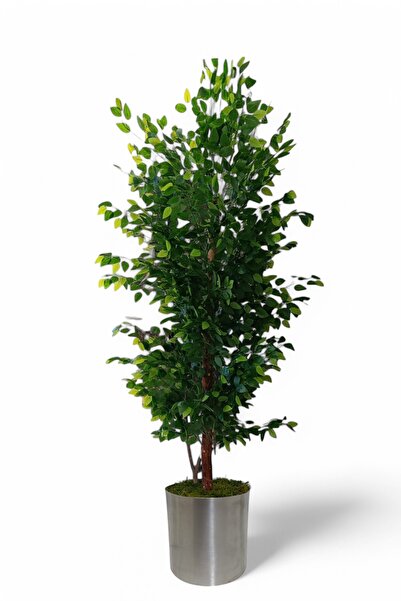 ERHAN FLOWERS ÇİÇEK & DEKORASYON Yapay ağaç benjamin ıslak doku 180 cm küre p...