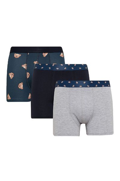 DeFacto Animal Printed 3 Piece Boxer Set - E0034ax24wn
