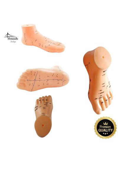 Fernanda Special Production Conform to Human Anatomy Examination Quality Model 20cm Foot Model Acupuncture Point