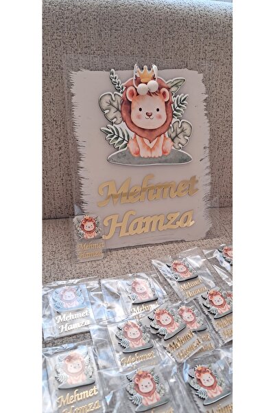 İSİM LAZER Bebek Kapı Süsü/Hastane Odası Kapı Süsü/Bebek Magnet (20 adet jelatinli)