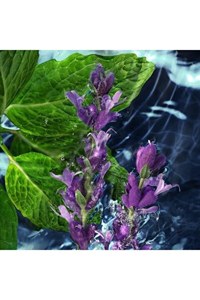 Davidoff Davidoff Cool Water Eau de Toilette Spray for Men