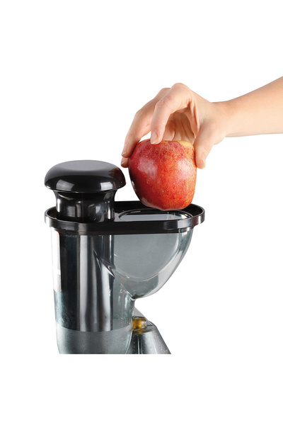 LİVOO Fruit and vegetable juicer slow juicer DOP138, 150 W