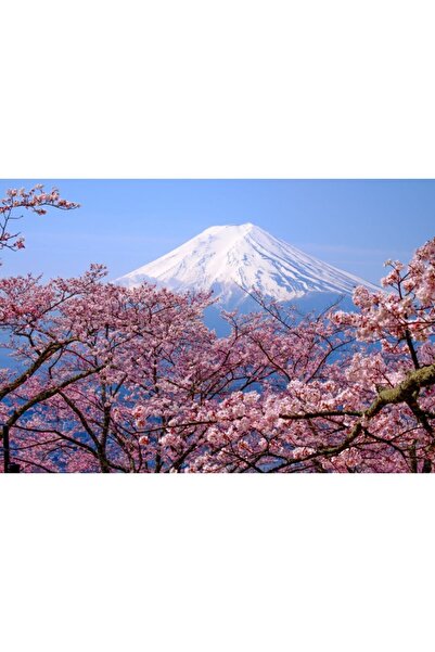 Zumzeria Tablou Canvas Contrastul dintre primăvară și iarnă într-o singură po...