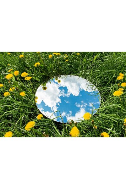 Zumzeria Pânză Tablou Iarbă frumoasă de vară și nori limpezi Reflectare în oglindă, 80x50cm