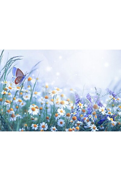 Zumzeria Καμβάς Tablou Όμορφες Λευκές Μαργαρίτες και Πεταλούδα σε Δροσερή Πρω...