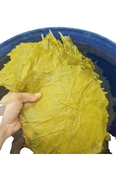 Ege Yöresel 2023 Mahsukudur Manisa Turgutlu Sultaniye Salamura Asma Yaprak Yeni Mahsül