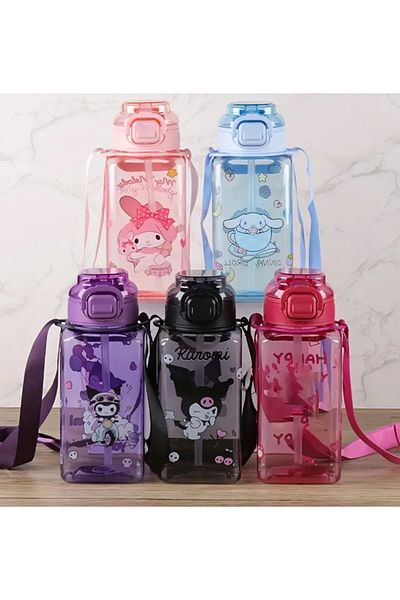 So Iconic Sanrio My Melody Character Water Bottle & Water Bottle / Pink Color