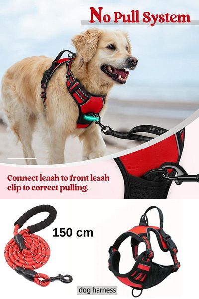ESPAW Dog Leash with Reflectors and Walking and Training Set for Medium and Large Breed
