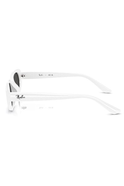 Ray-Ban Sunglasses Rb4441D 53 677287
