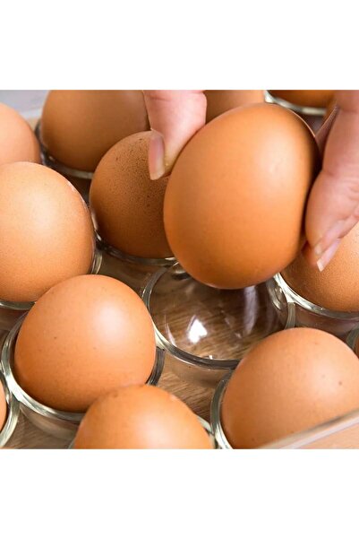 Generica 24 Egg Capacity Stackable Clear Egg Holder with Lid for Refrigerator Egg Storage