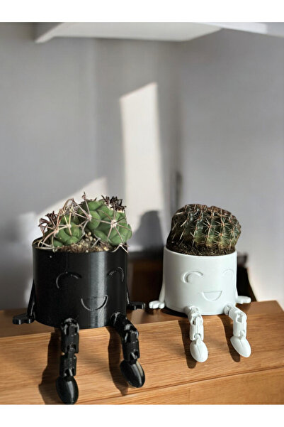 Melodyone Oturan Sallanan Ayaklı Dekoratif Kaktüs Saksısı 2li Takım - Minimal...