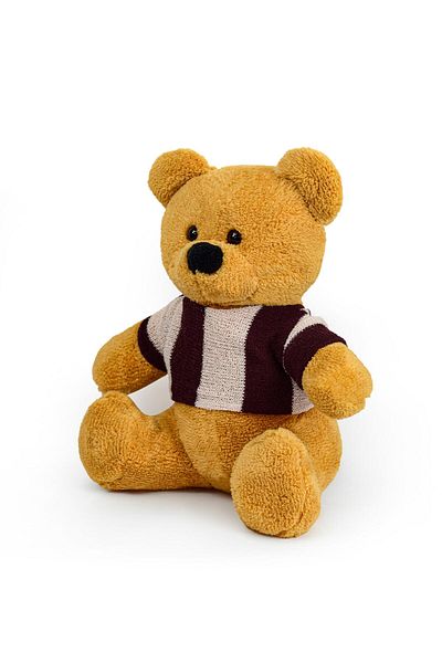 Pababo 55 Cm T-Shirt Cute Teddy Bear - Teddy Bear Design