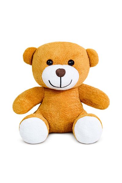 Pababo Cute Teddy Bear (100% Domestic)
