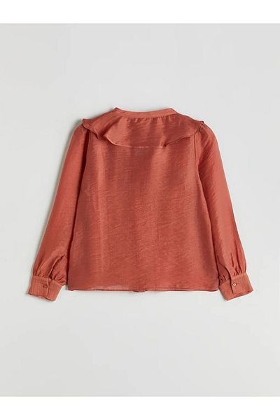 LC Waikiki Lcwaikiki Classic Brown V-Neck Women's Blouse