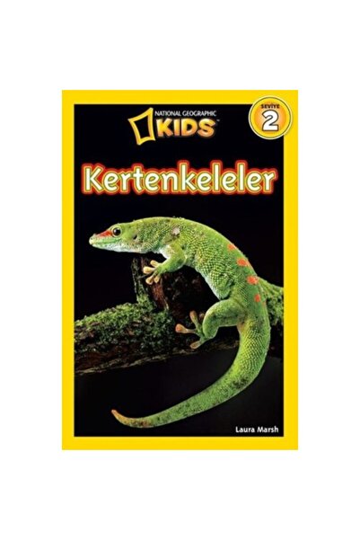 Beta Kids السحالي