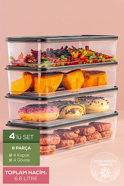 Vienev 1.65 Liter Refrigerator - 4 Piece Organizer Gray, Microwave Safe