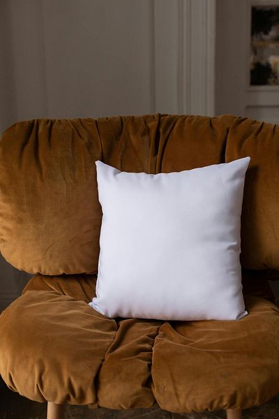ROKFAB 2 Pieces 50 X 50 Pillow, Filled Throw Pillow Inside, Throw Pillow Cover Inner Pillow