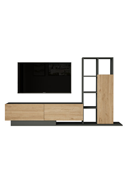 Robin Home Lotus Tv Ünitesi Kapaklı Kitaplık Raf Sepet-Antrasit