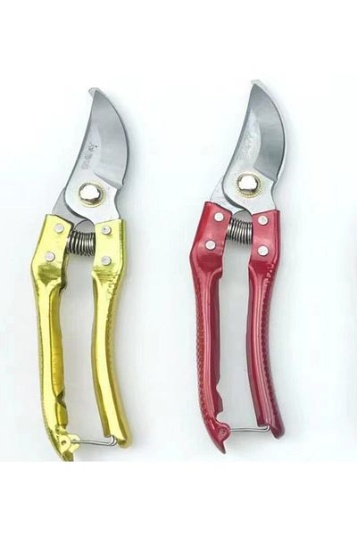 Worldtec 2 Pieces of Good Quality Ties - Tree Pruning Shears