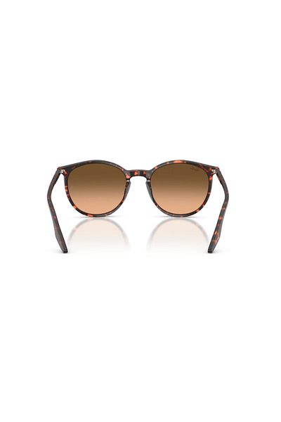 Ray-Ban 0Rb 2204 14293B 51 Unisex Sunglasses