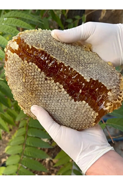 Balkovan Doğal Organik 7li Yayla Seçkisi + Doğal Organik Karakovan Bal 1500gr.