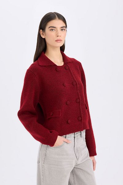 DeFacto Polo Neck Regular Fit Knitwear Cardigan - Flat Buttons E2289Ax24Wn