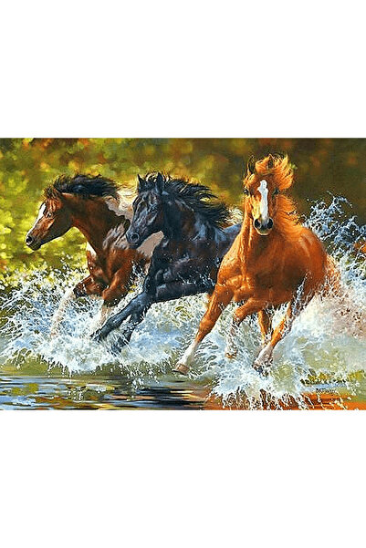 HOBBYLAB Koşan Atlar Çerçeveli 40x50 Sayılarla Boyama Hobi Seti