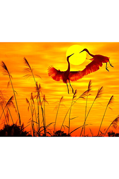 Genel Markalar Günbatımı ve Romantik Kuşlar Çerçeveli 70x90 Sayılarla Boyama ...