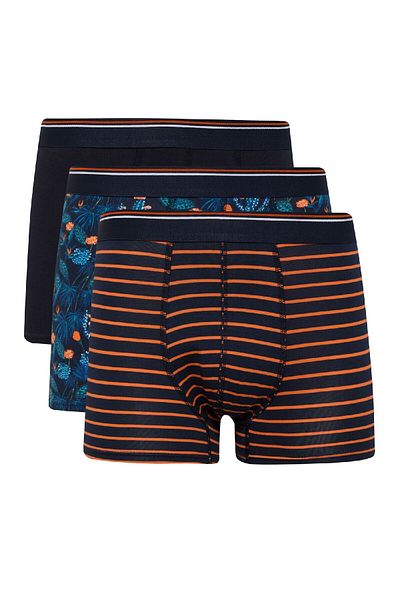 DeFacto Regular Fit Floral 3 τεμαχίων Boxer E2923ax25sp