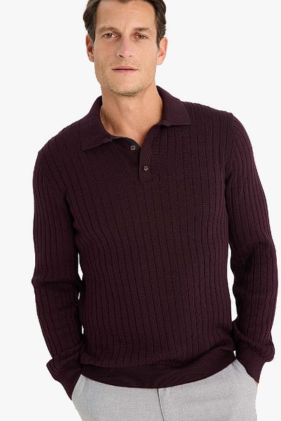 DeFacto Pulover de tricotaj cu guler polo cu potrivire standard E5335AX24WN