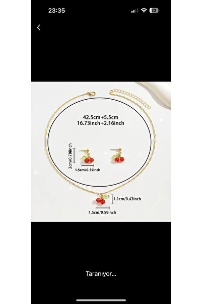 zehracatasariim Women's Cherry Earrings and Necklace Set