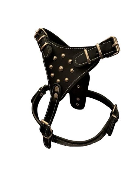 PACOPET Genuine Leather Gladiator Breastplate Dog Collar