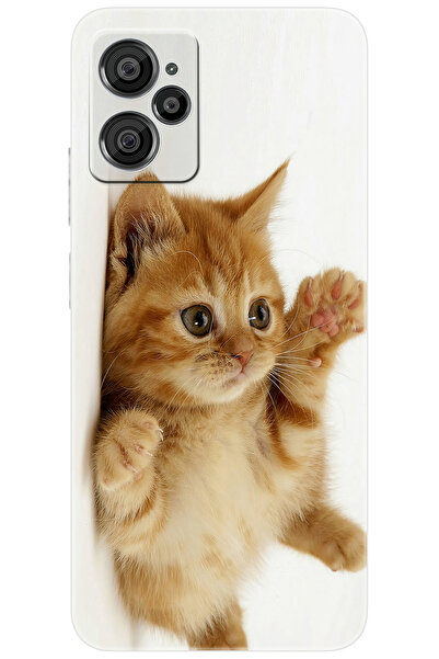 CASPER Via X30 / X30 PLUS Uyumlu Kılıf Desen Baskılı Silikon Sevimli Kedi STK...