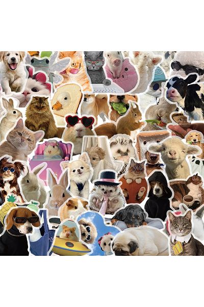 Choice 30PCS 10/30/50PCS Cartoon Cats Dogs Meme Transparent Sticker DIY Phone Laptop Luggage Skateboard Gra
