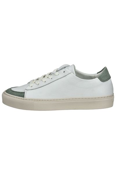Sneaky Steve Sneaker