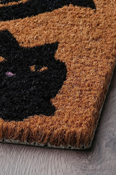 Binbirreyon Door Front Mat Coconut Fiber Easy to Clean 40X60Cm Thick Ke011