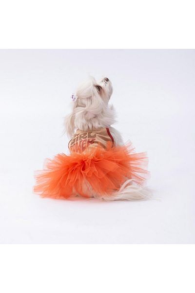 Pawstar Girl Power Cat Dog Dress in Beige - Cat Dog Apparel