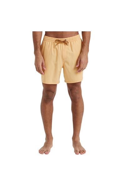 Quiksilver Surfsilk Solid Volley 16 Ανδρικό Σορτς Volley Eqyjv04118